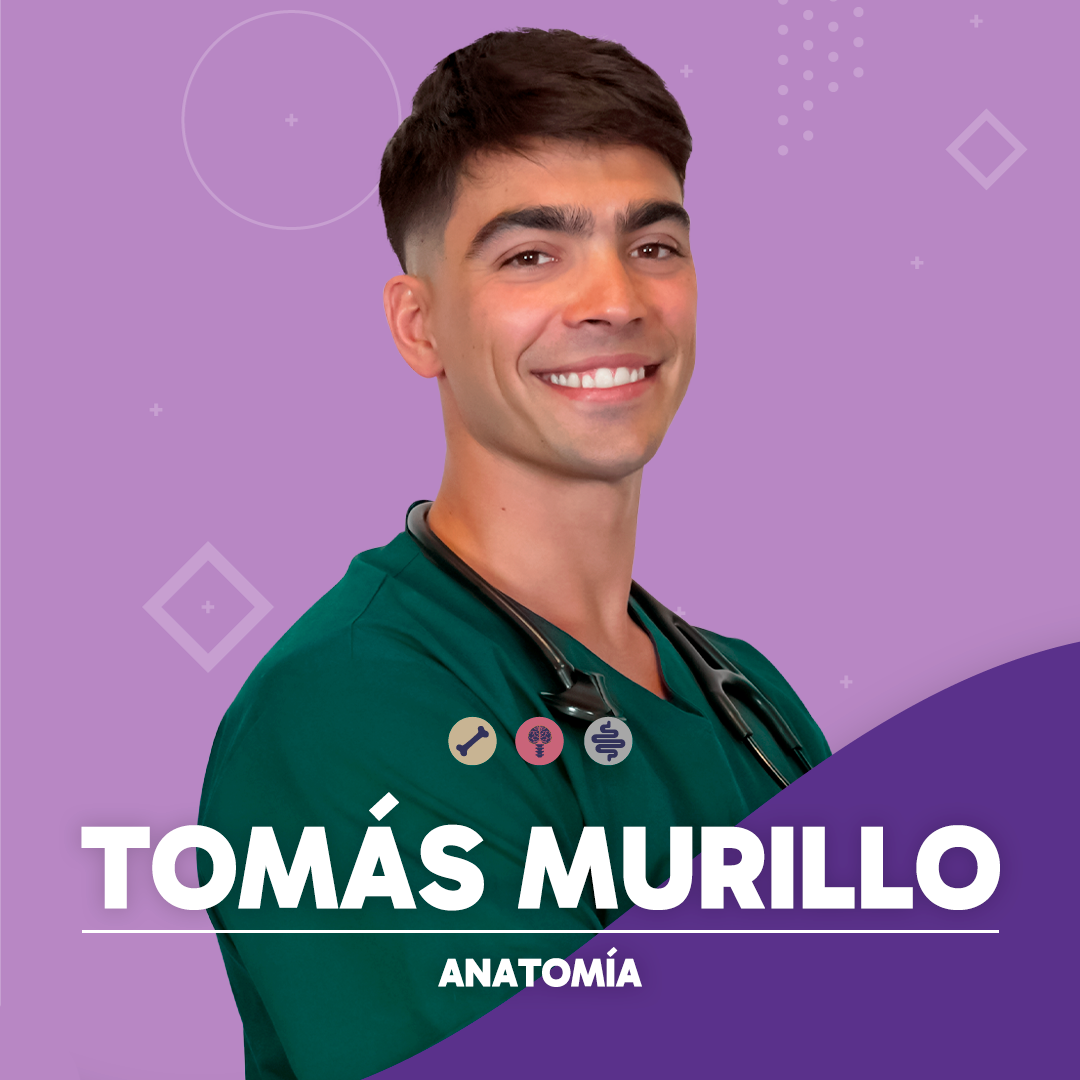 Tomi